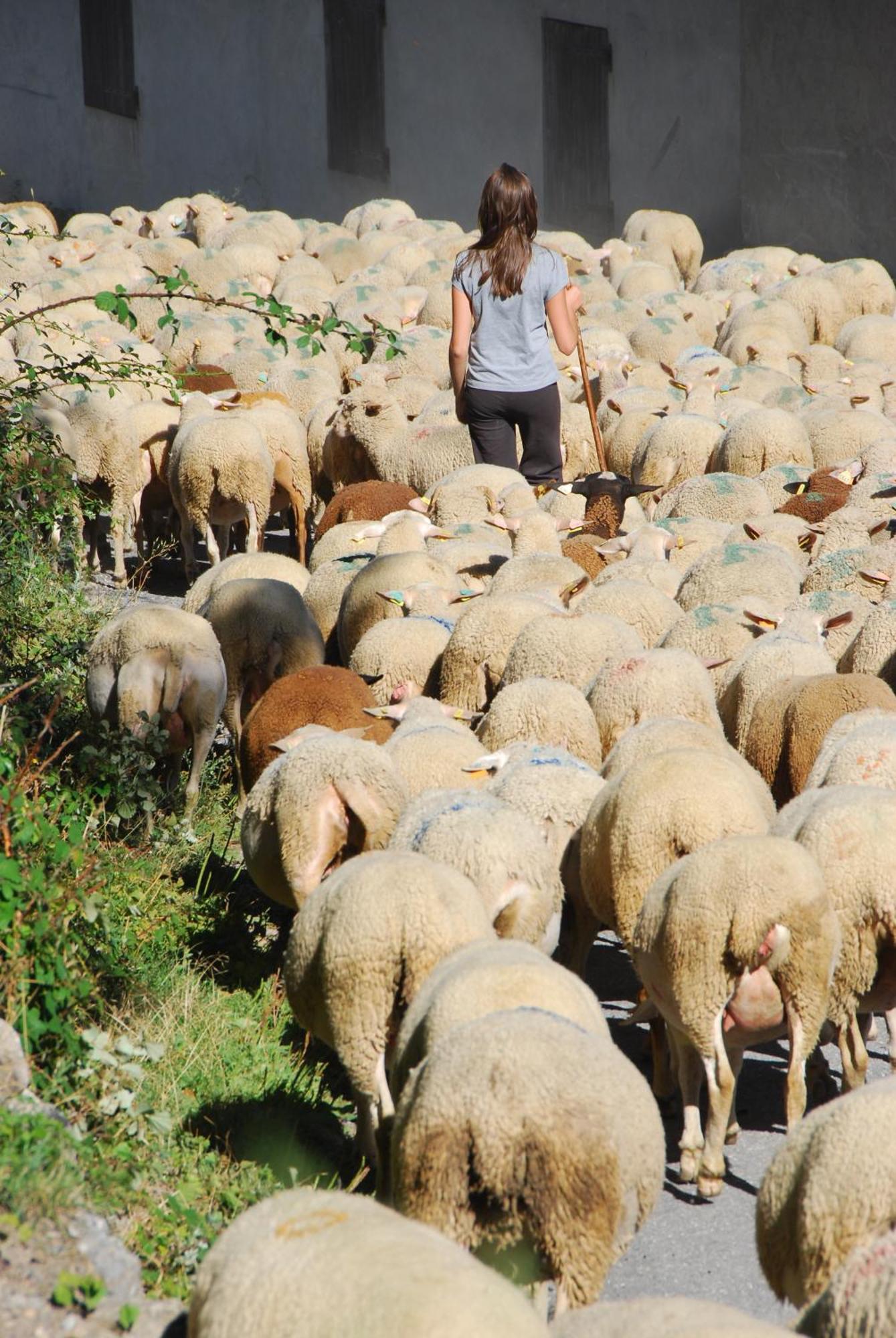 La Ferme De Beaute Panzió Chateauroux-les-Alpes Kültér fotó
